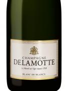 Delamotte - Brut Blanc De Blancs Le Mesnil-sur-oger NV 0