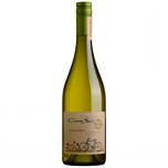Vina Cono Sur - Sauvignon Blanc Valle Central 2022