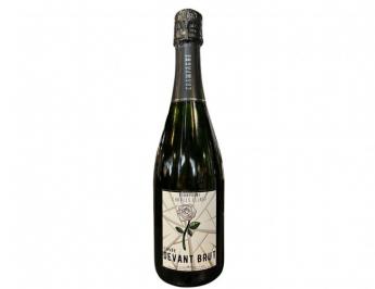 Charles Ellner - Cuvee Devant Brut Champagne NV